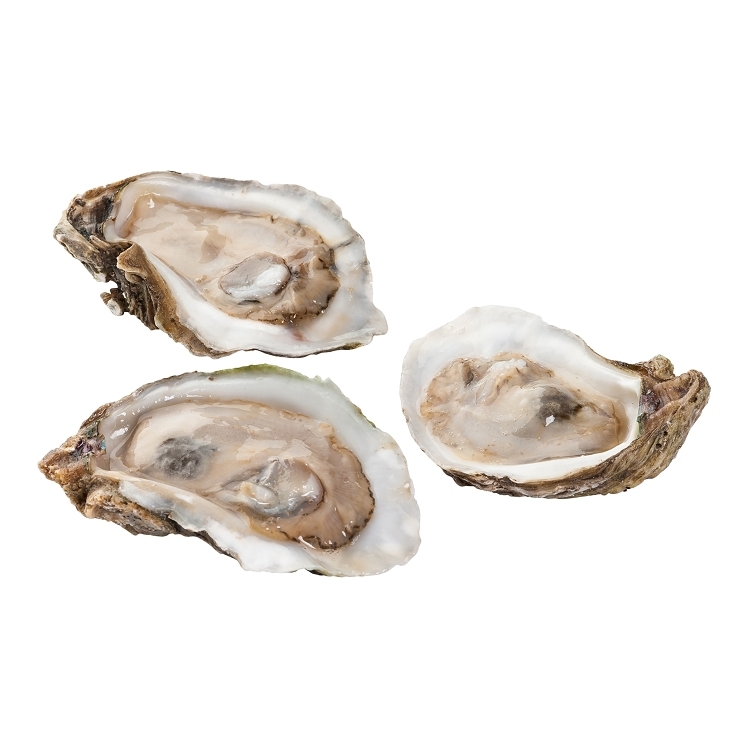 HARBOR BANKS EASTERN GULF OYSTER HALF SHELL RAW IQF  144 COUNT