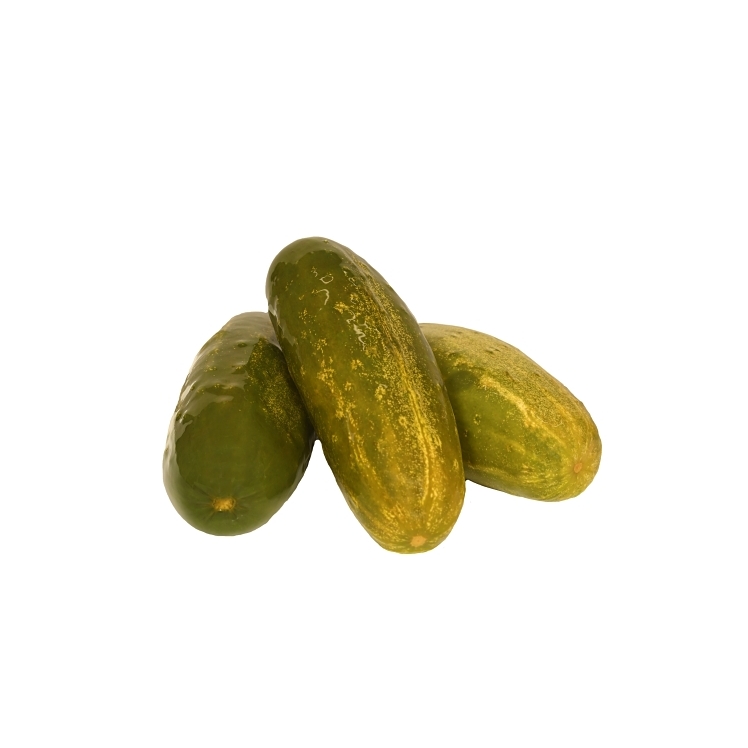 MONARCH WHOLE DILL PICKLES PAIL 55-70 CT