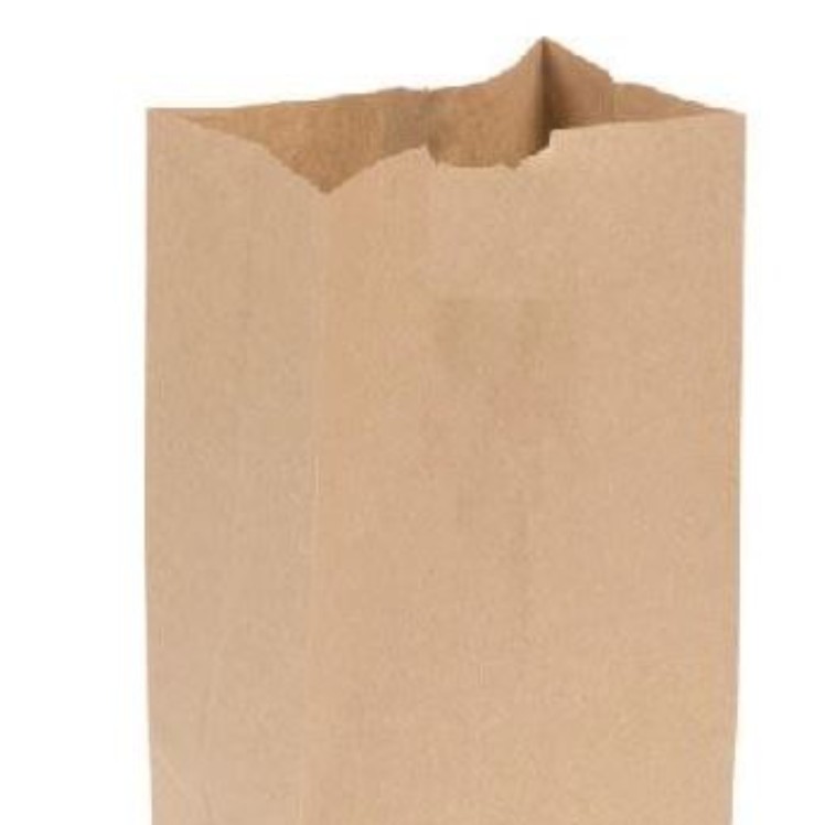 MINMOR / OLYMPAK BAG, CHECKOUT 12 LB PAPER KRAFT