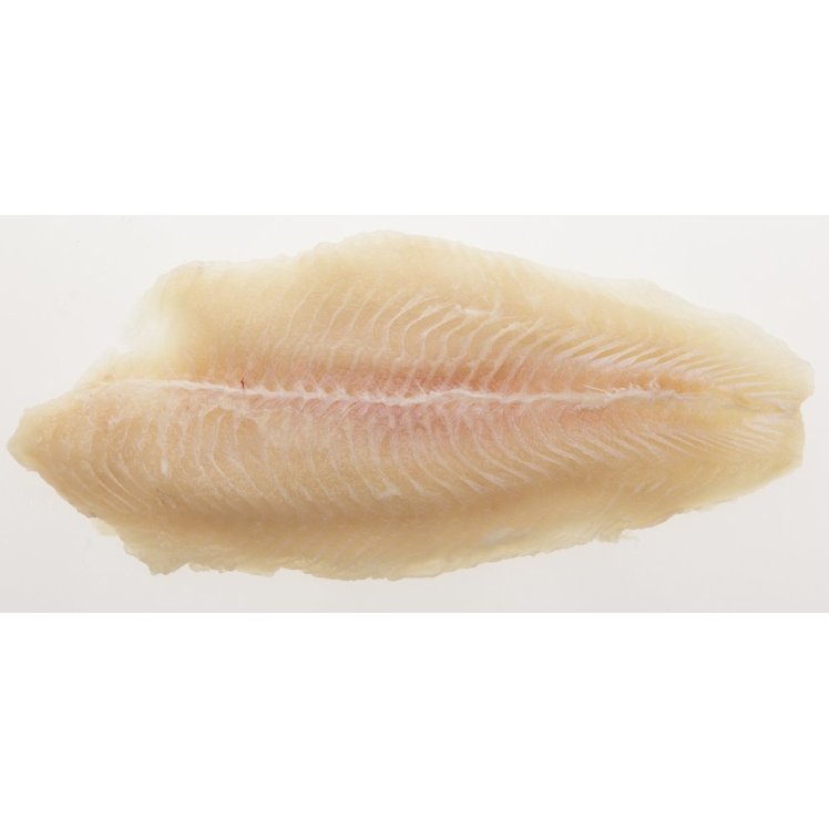 PANGASIUS FILLET 7-9 OUNCE