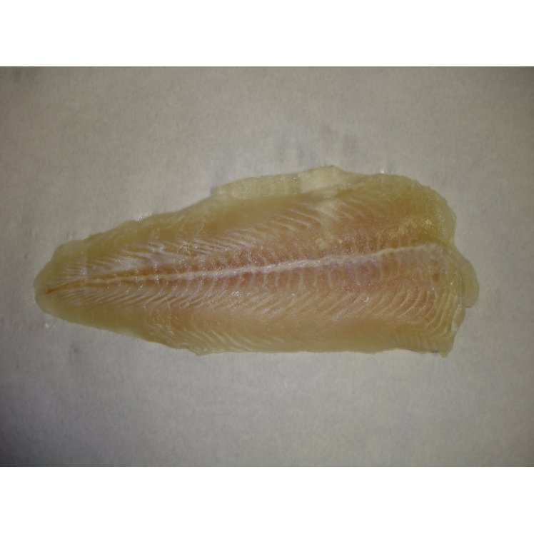 PANGASIUS FILLET 5-7 OUNCE