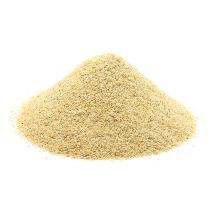 MONARCH GARLIC GRANULATED PLASTIC SHAKER