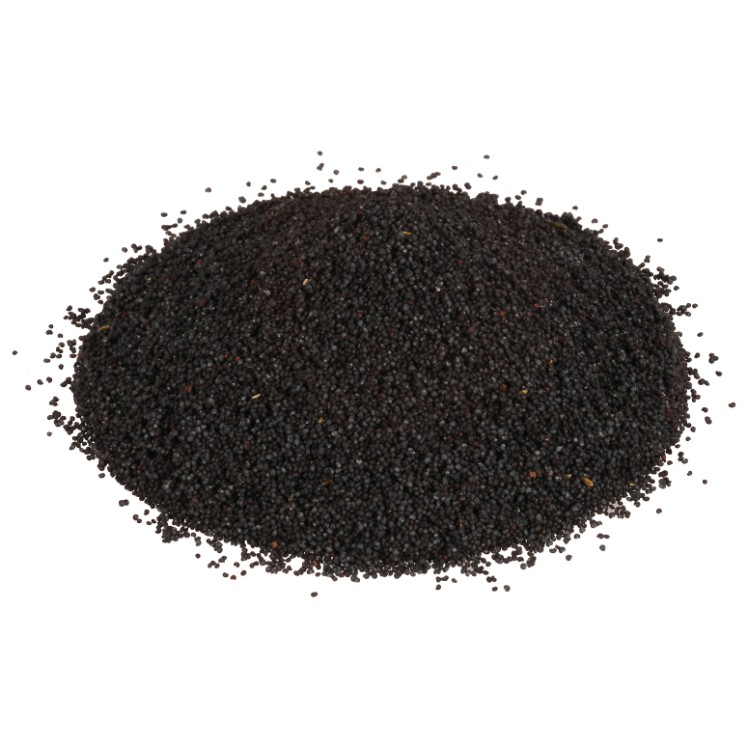 MONARCH SPICE, POPPY SEED WHOLE PLASTIC