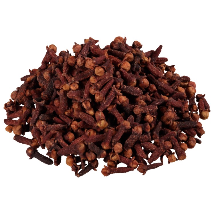 MONARCH SPICE CLOVE WHOLE PLASTIC SHAKER