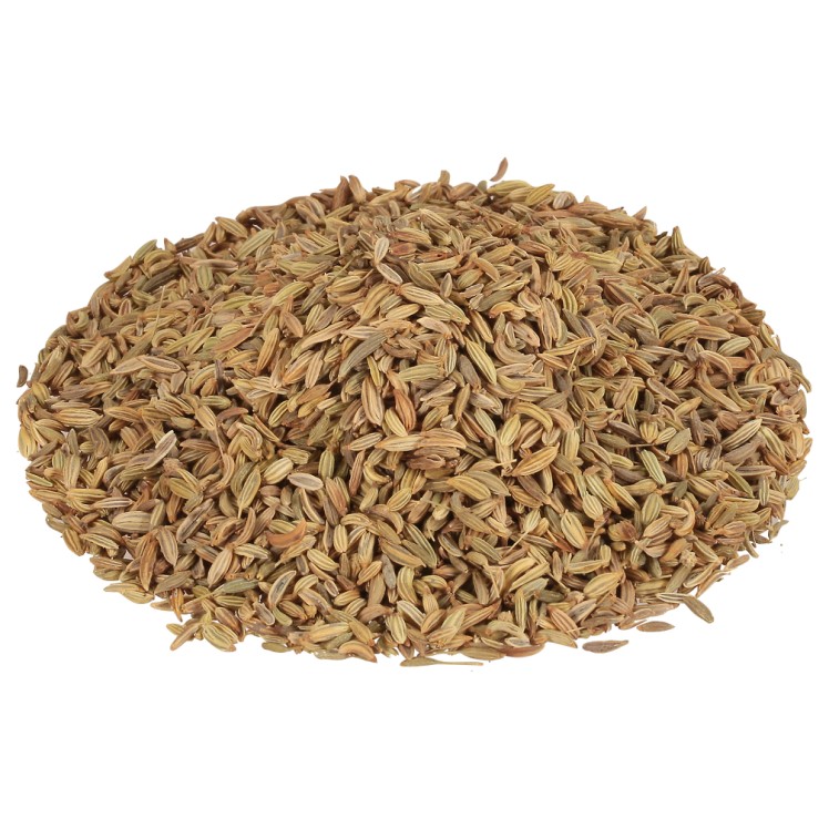 MONARCH WHOLE FENNEL SEED PLASTIC SHAKER