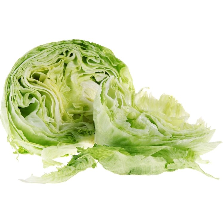 ICEBERG LINER HEAD LETTUCE