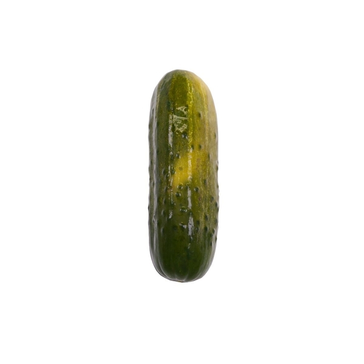 MRS KLEIN'S PICKLE DILL WHOLE