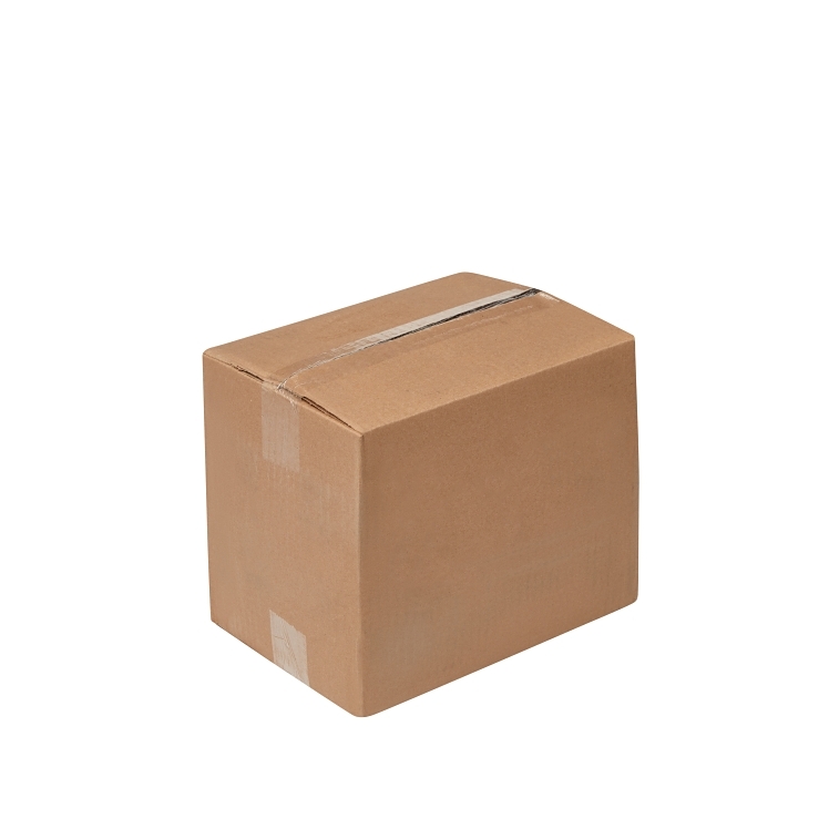 DRAGONFLY BIG TRAIN GREEN TEA SMOOTHIE MIX