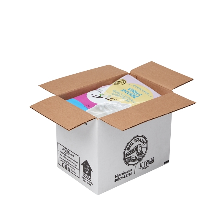 BIG TRAIN SMOOTHIE MIX Vanilla