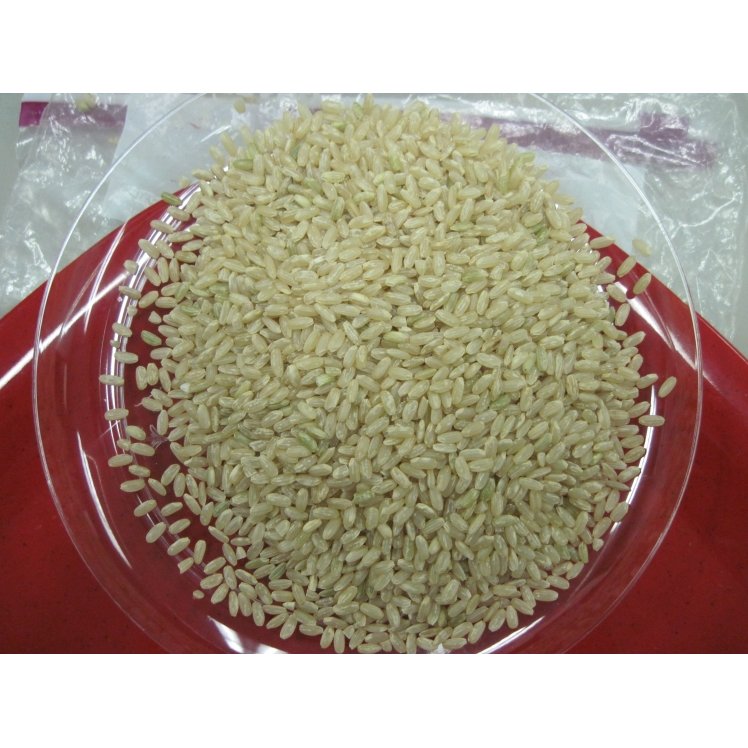 LUCKY RICE 4% EXTRA-LONG GRAIN RICE