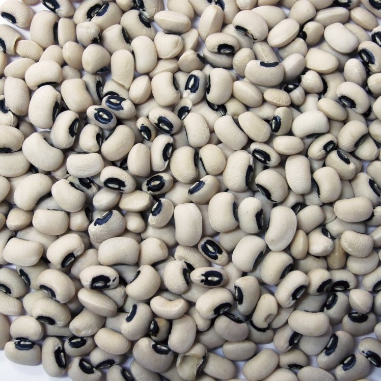 JACK RABBIT BLACKEYE PEA DRIED