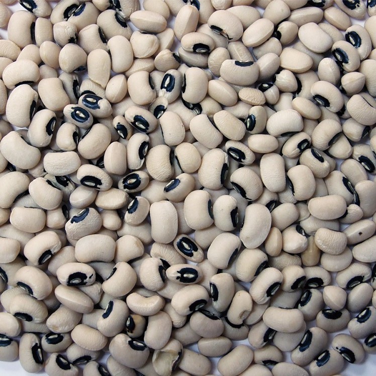 JACK RABBIT BLACKEYE PEA DRIED