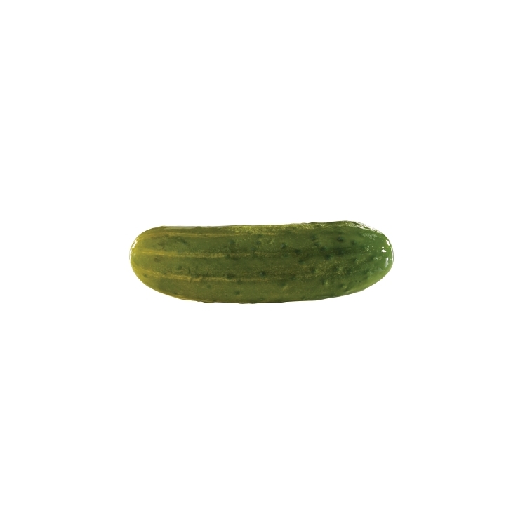 BAY VALLEY FOODS PREMIUM WHOLE DILL PICKLE 24-28 CT
