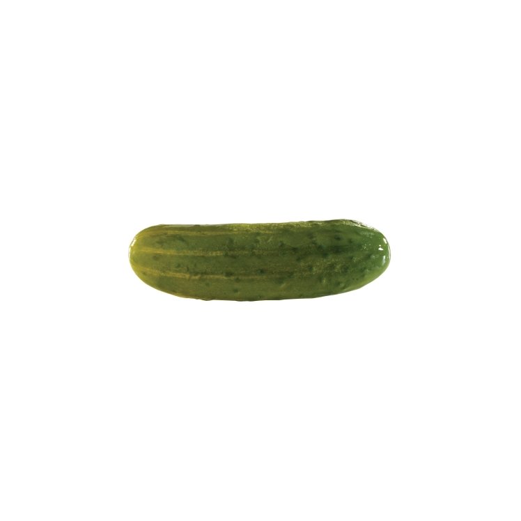 BAY VALLEY FOODS PREMIUM WHOLE DILL PICKLE 24-28 CT