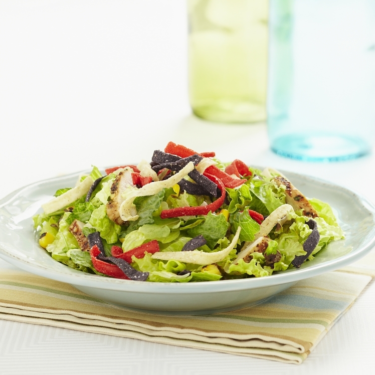 FRESH GOURMET TORTILLA STRIPS TRI COLOR