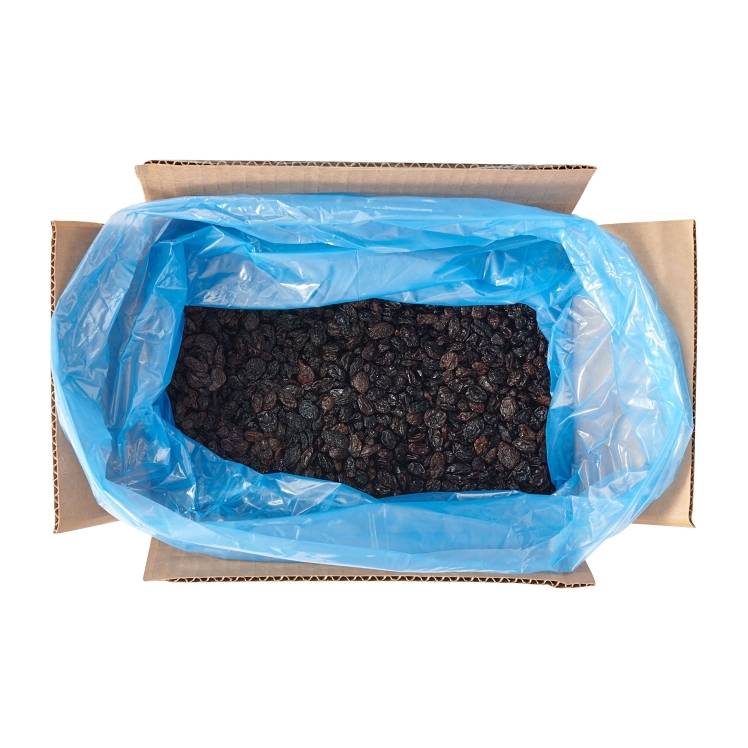 FRESH GOURMET KOSHER THOMPSON SEEDLESS RAISIN BOX