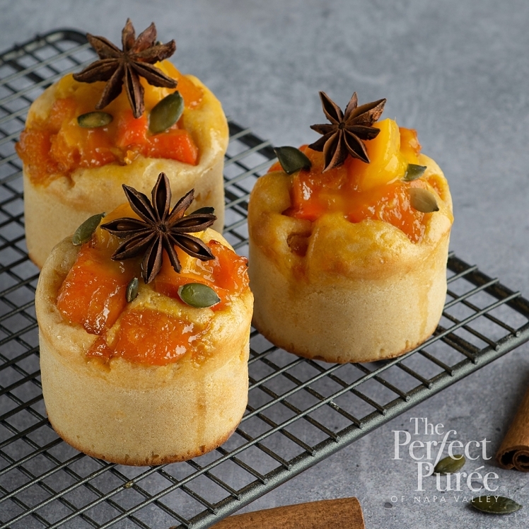 The Perfect Puree of Napa Valley Frozen Apricot Puree