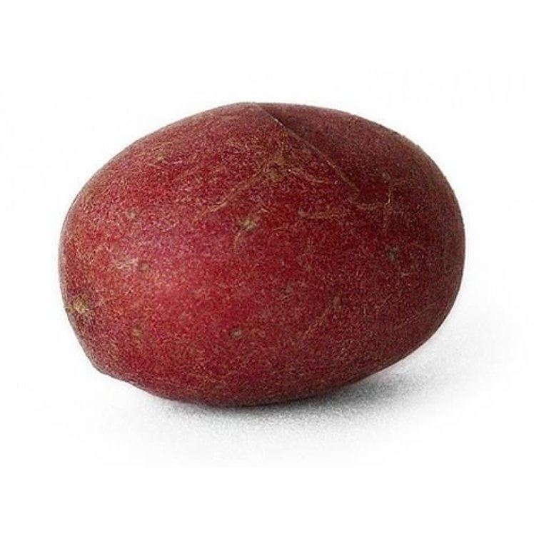 RED POTATOES #2 50 POUND