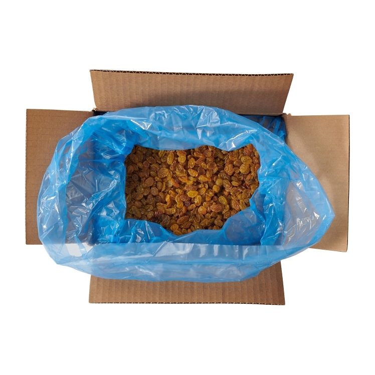 FRESH GOURMET RAISIN, GOLDEN SEEDLESS BAG