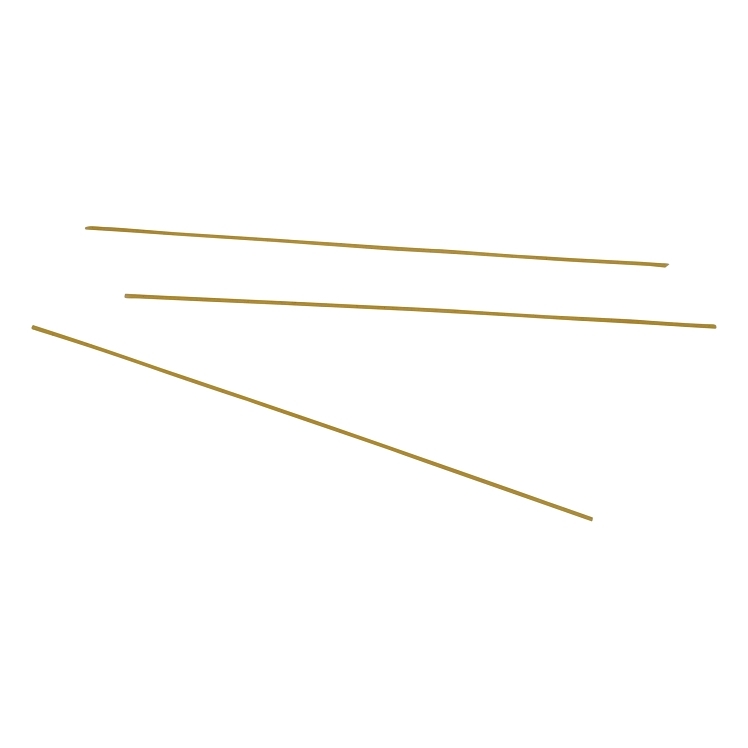 HARVEST VALUE 10 SPAGHETTI