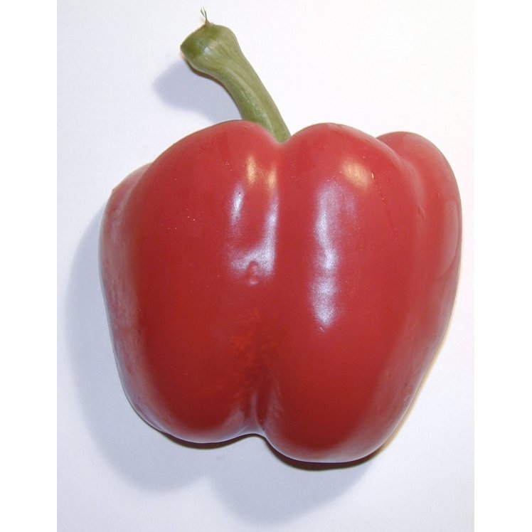 RED BELL PEPPERS 22-28 LB