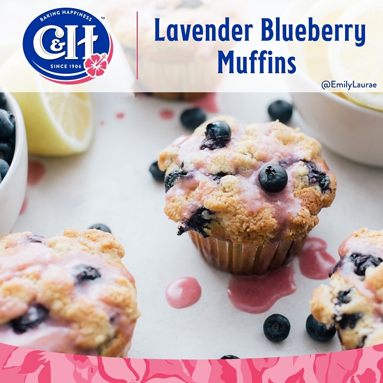 C&H POWDERED CONFECTIONER'S PURE CANE SUGAR