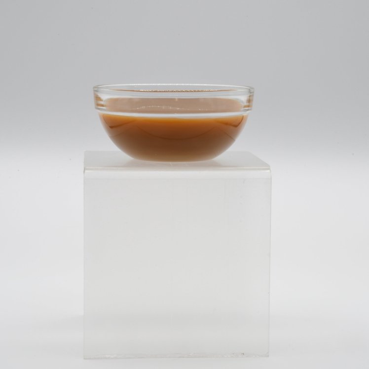 MONIN CARAMEL SAUCE