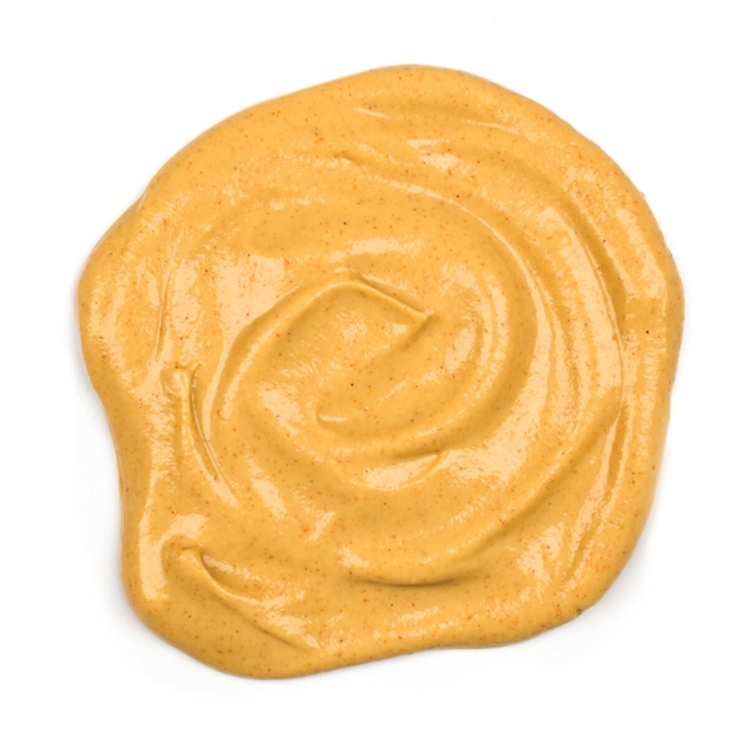 ROLAND DIJON MUSTARD
