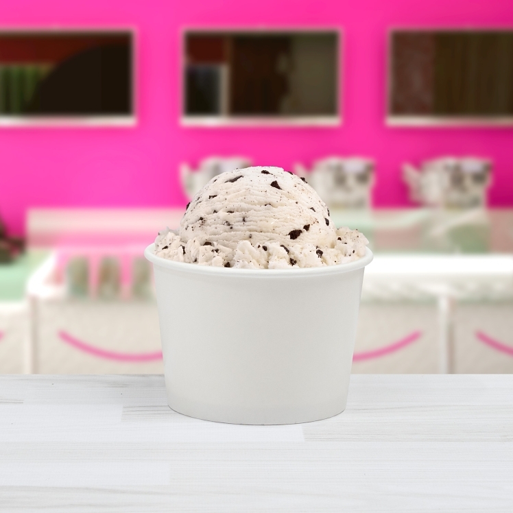 SOLO 12 OZ DOUBLE POLY PAPER FOOD CONTAINER