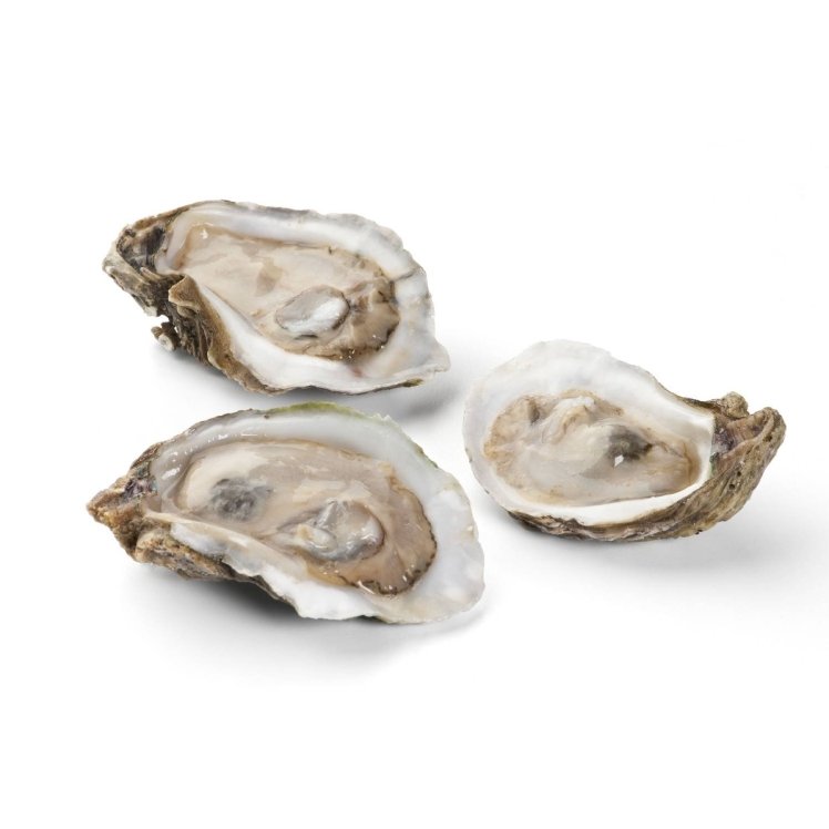 HILLMAN IQF HALF SHELL OYSTERS
