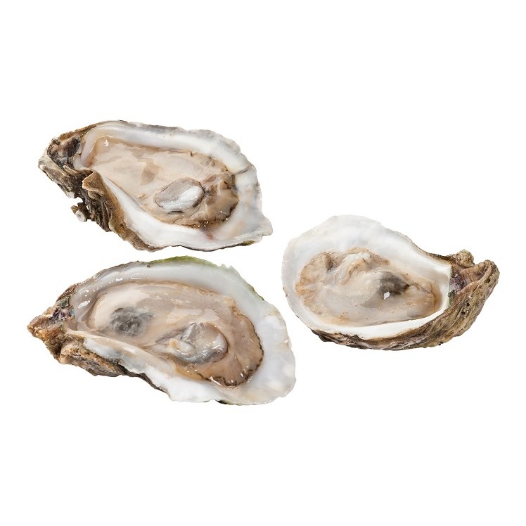 HILLMAN IQF HALF SHELL OYSTERS