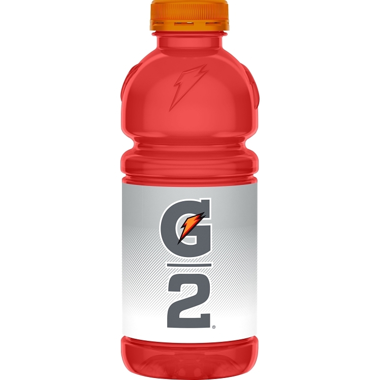 GATORADE G2 FRUIT PUNCH