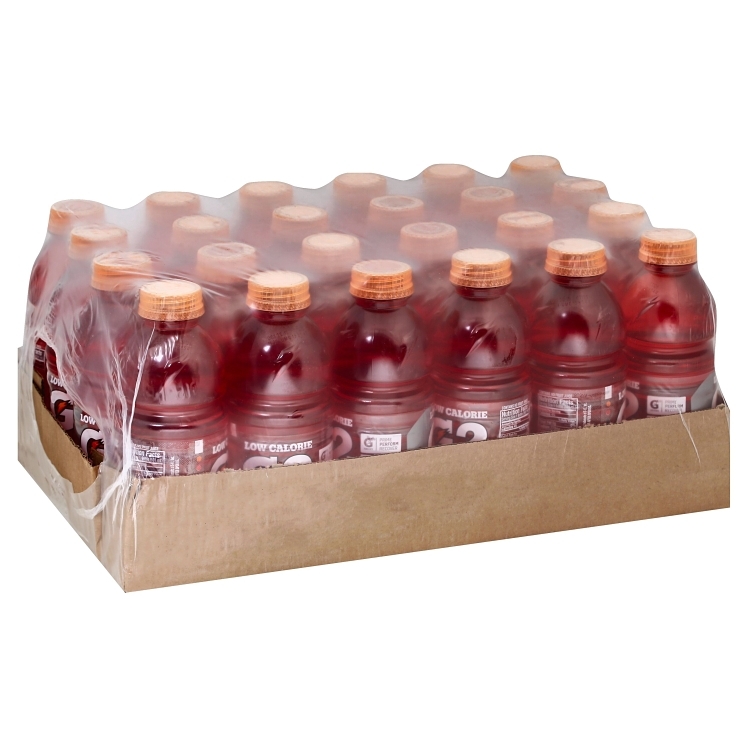 GATORADE G2 FRUIT PUNCH