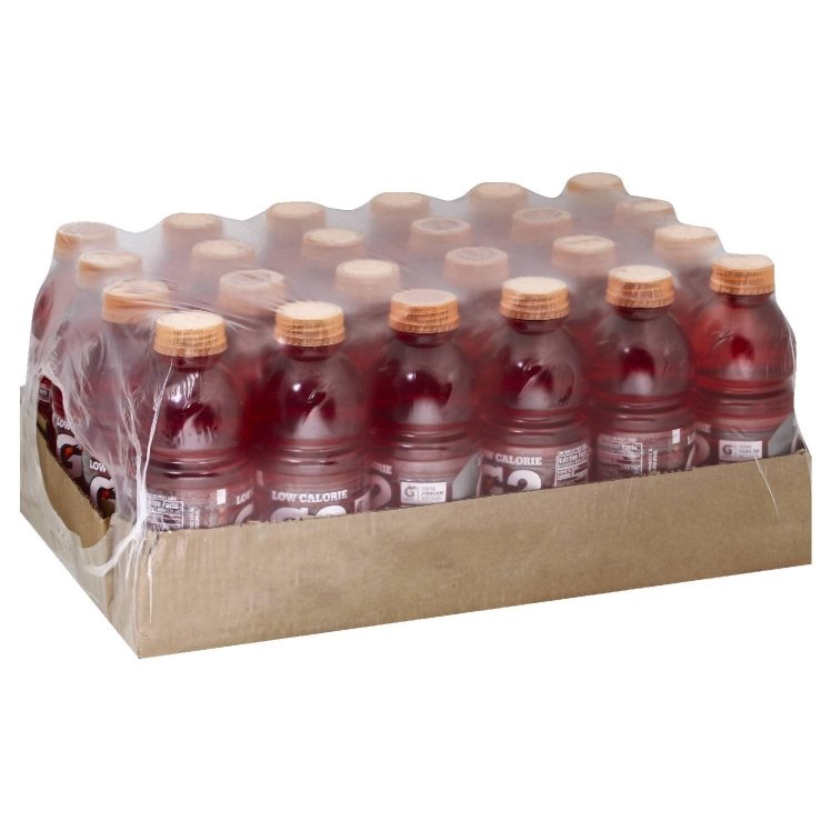 GATORADE G2 FRUIT PUNCH