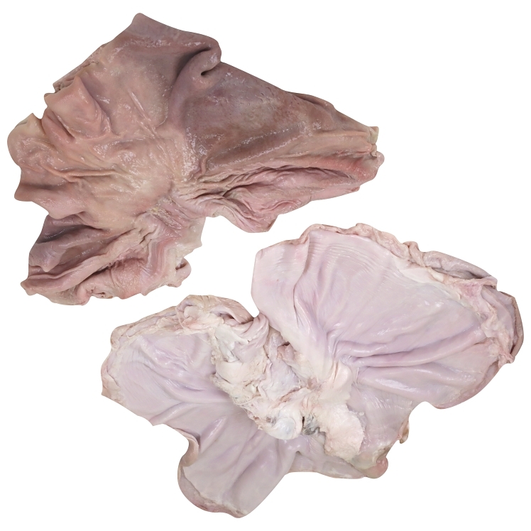 IBP FROZEN PORK STOMACHS