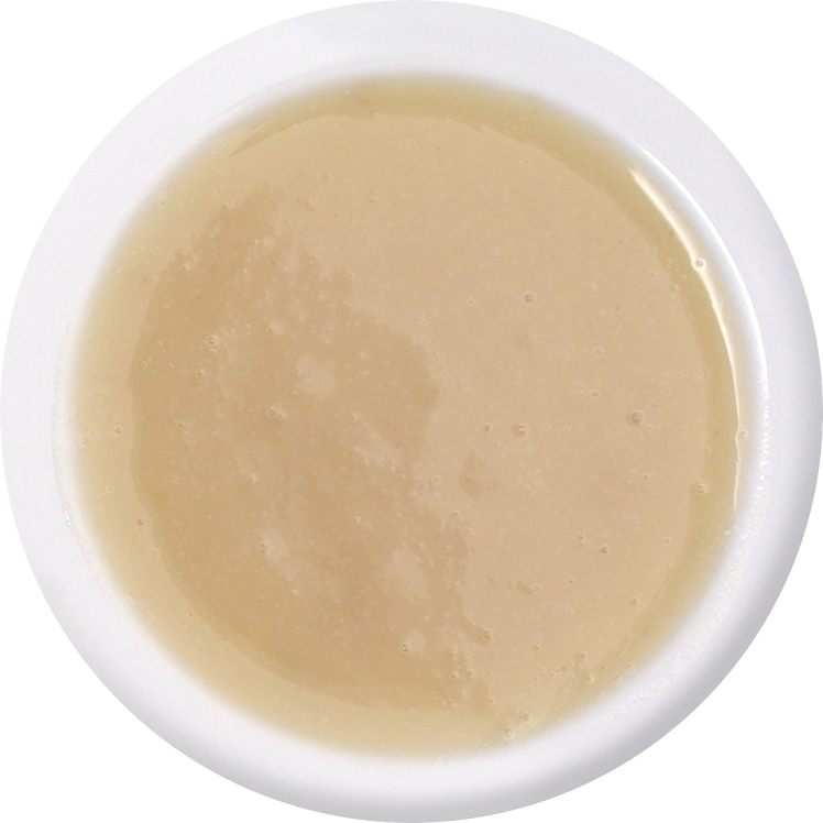 The Perfect Puree of Napa Valley Frozen Banana Puree in Sugar