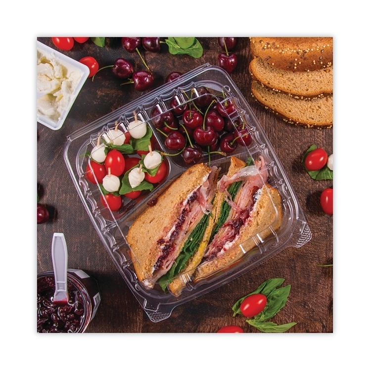 DART CONTAINER, PLASTIC 8.9X9.4 3