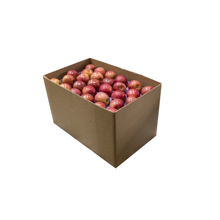 APPLE FUJI 100 CT WA XFCY - US Foods CHEF'STORE