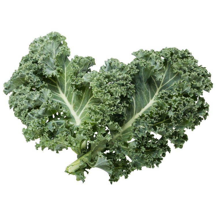 CROSS VALLEY FARMS KALE CURLY GREEN CLEANED & TRIMMED