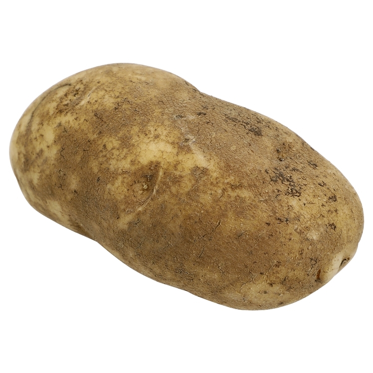 CROSS VALLEY FARMS RUSSET IDAHO POTATOES 50 COUNT 14-18