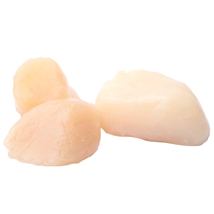 HARBOR BANKS DRY SEA SCALLOPS 10-20