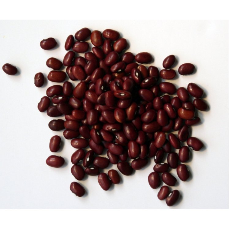 MONARCH BEAN, RED SMALL DRIED RAW