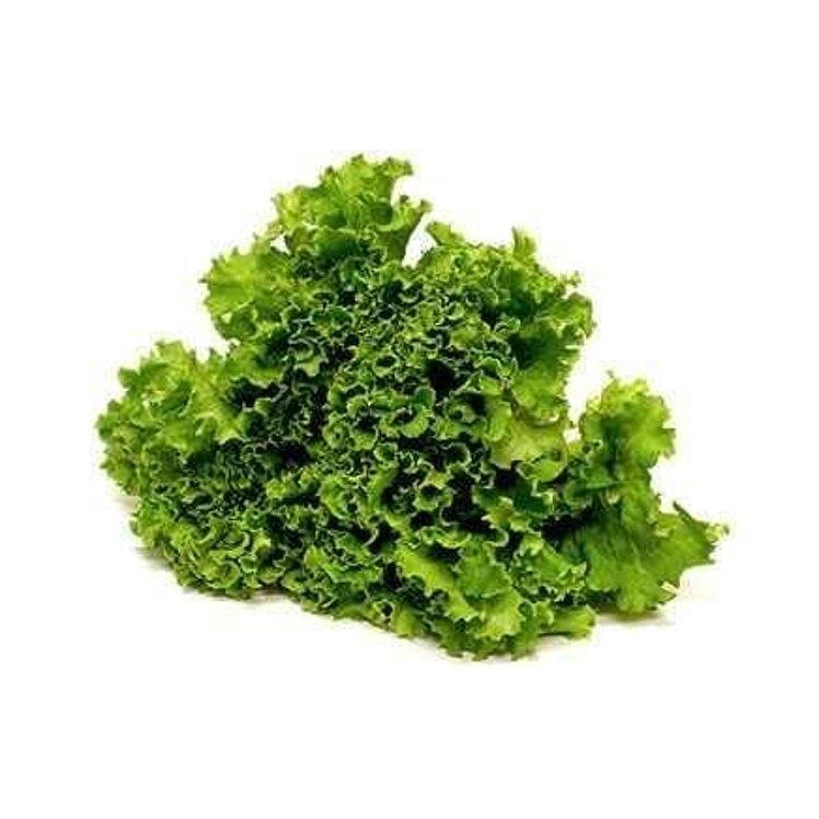 LETTUCE GREEN LEAF CLEANED & TRIMMED