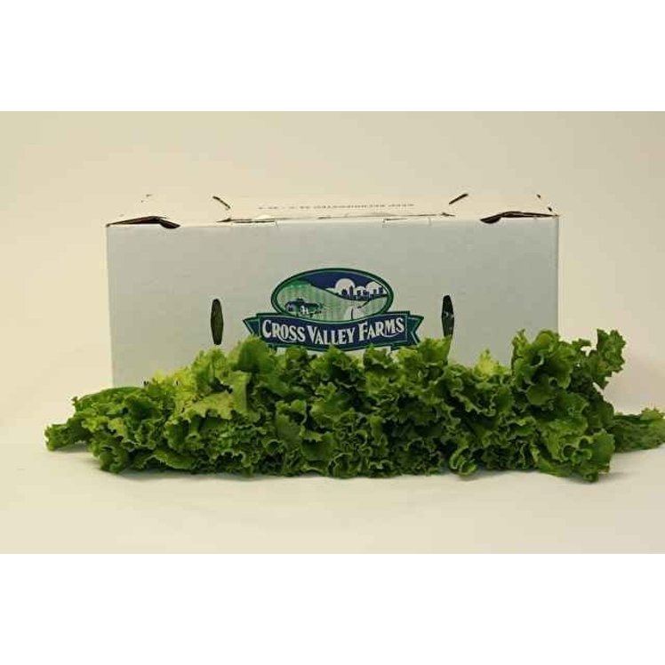 CROSS VALLEY FARMS GREEN LEAF LETTUCE CLEANED & TRIMMED