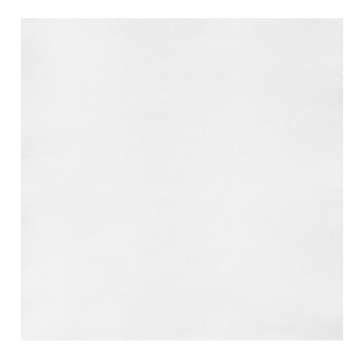 NAPKIN, DNNR WHT 15.5X15.5