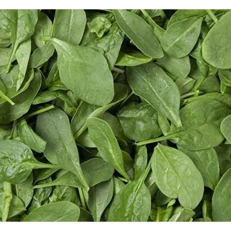 CROSS VALLEY FARMS SPINACH FLAT LEAF CLEANED