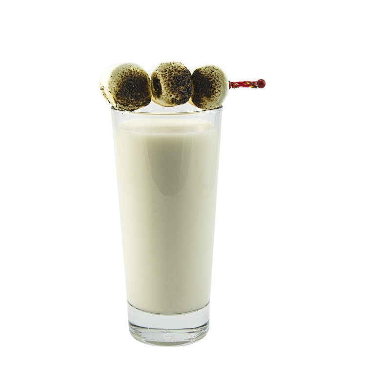 MONIN TOASTED MARSHMALLOW SYRUP