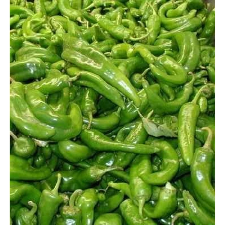 CHILI ANAHEIM