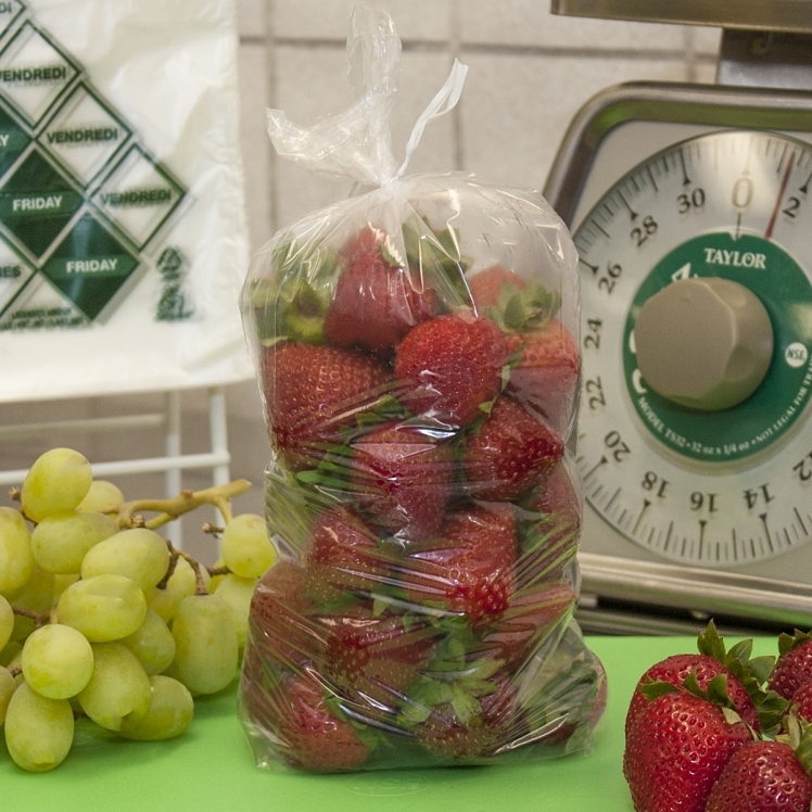 HANDGARDS FOOD STORAGE BAG 1 QUART 4X2X13