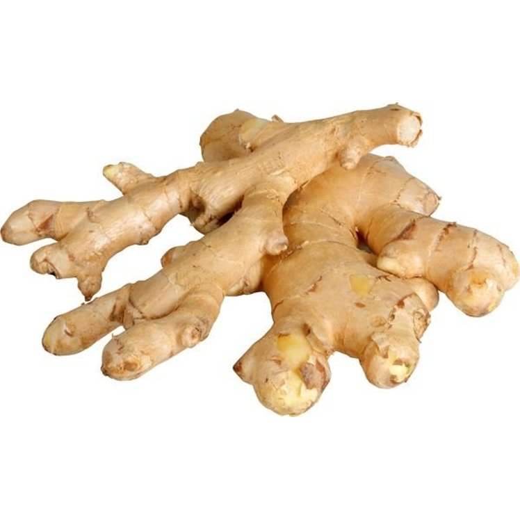 FRESH GINGER ROOT